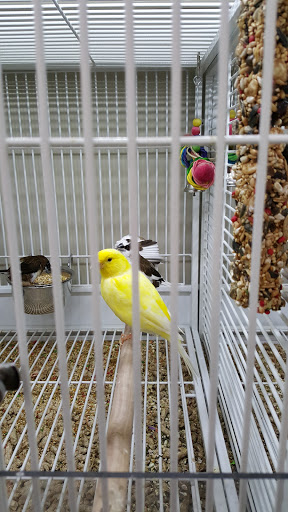 Pet Supply Store «Pet Supplies Plus», reviews and photos, 135-25 79th St, Howard Beach, NY 11414, USA