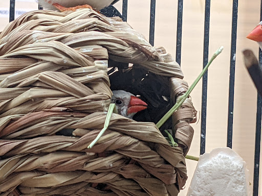 Pet Supply Store «PetSmart», reviews and photos, 208 Mariner Way, Biddeford, ME 04005, USA