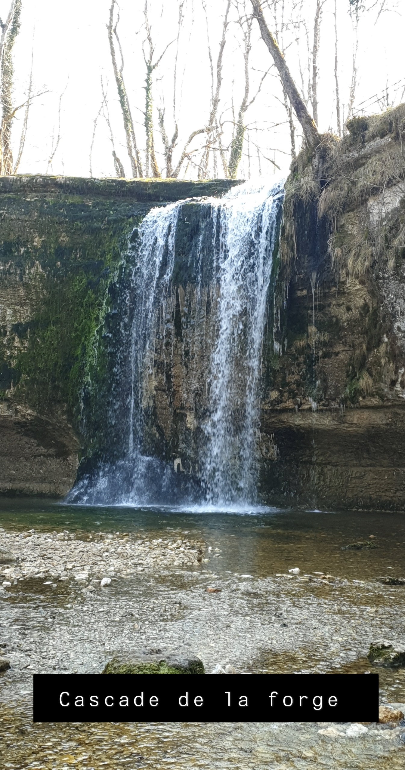 Photo n° 6 de l'avis de pirrera.o fait le 12/03/2021 à 07:17