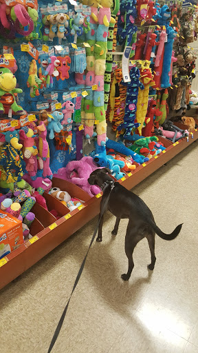 Pet Supply Store «PetSmart», reviews and photos, 139 Radio Dr, Stroudsburg, PA 18360, USA