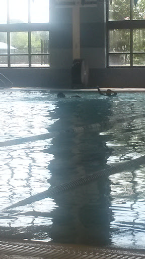 Community Center «Hickory Hill Community Center», reviews and photos, 3910 Ridgeway Rd, Memphis, TN 38115, USA