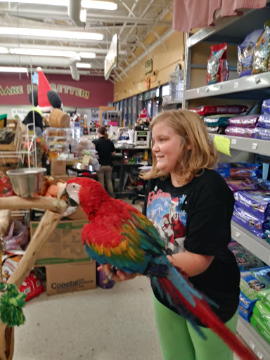 Pet Store «Petland Plano», reviews and photos, 1301 Custer Rd #405, Plano, TX 75075, USA