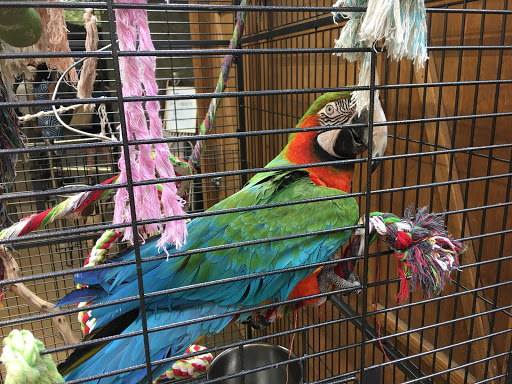 Pet Store «Lost Realms Pets», reviews and photos, 8059 N Cedar Ave, Fresno, CA 93720, USA