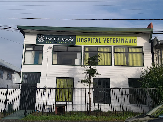 Opiniones de Hospital Clinico Veterinario UST en Puerto Montt - Hospital