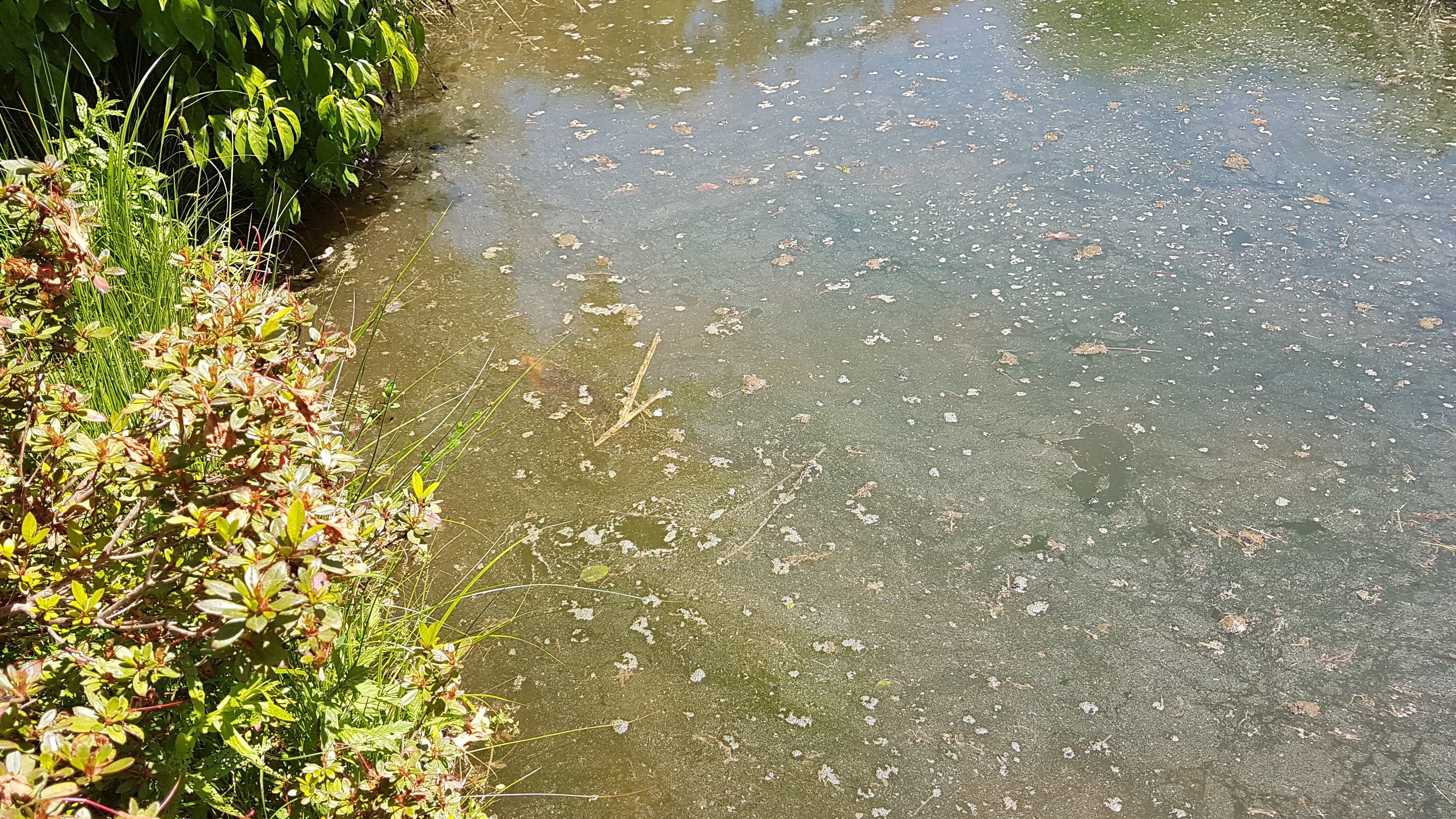 Photo n° 10 de l'avis de Daniel.r fait le 29/05/2020 à 14:41