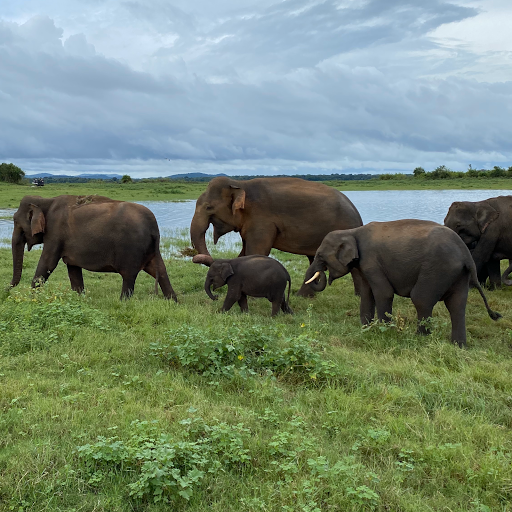 Travel Agency «BNT Travel Group», reviews and photos, 703 Brighton Beach Ave, Brooklyn, NY 11235, USA