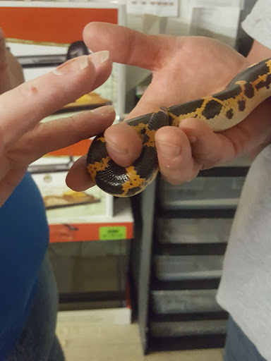 Pet Store «Critter Mart & More», reviews and photos, 3 10th St NW, Watertown, SD 57201, USA