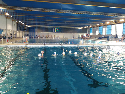 Schwimmkurse für Erwachsene Düsseldorf