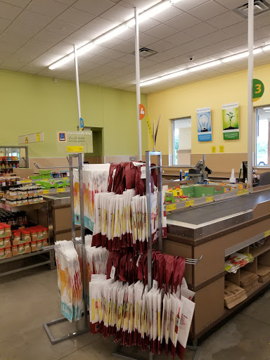 Supermarket «ALDI», reviews and photos, 3705 Tampa Rd #13, Oldsmar, FL 34677, USA