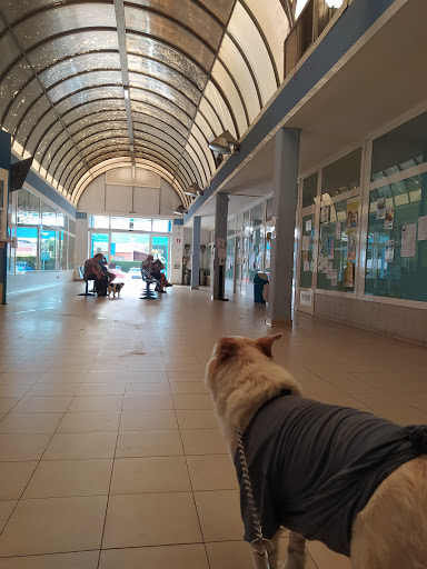 Pensioni per cani e dog hotel a Clinica Veterinaria Europe