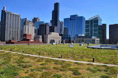 Green Roof Solutions