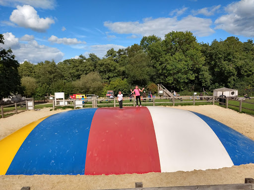 Bucklebury Farm & Deer Safari Park