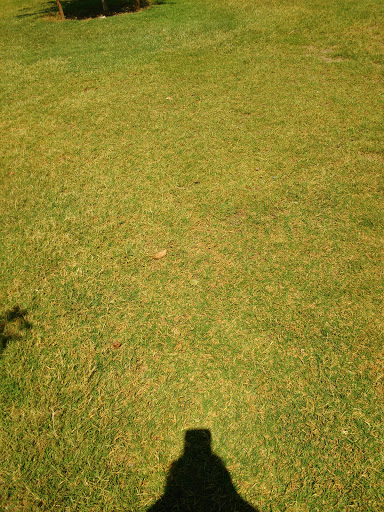 Park «Encanto Park», reviews and photos, 2605 N 15th Ave, Phoenix, AZ 85007, USA