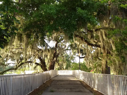 Art Museum «The Mennello Museum of American Art», reviews and photos, 900 E Princeton St, Orlando, FL 32803, USA