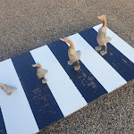 Photo n°1 de l'avis de Uwe.e fait le 05/08/2023 à 13:03 sur le  AKZENT Hotel Strandhalle Schleswig à Schleswig