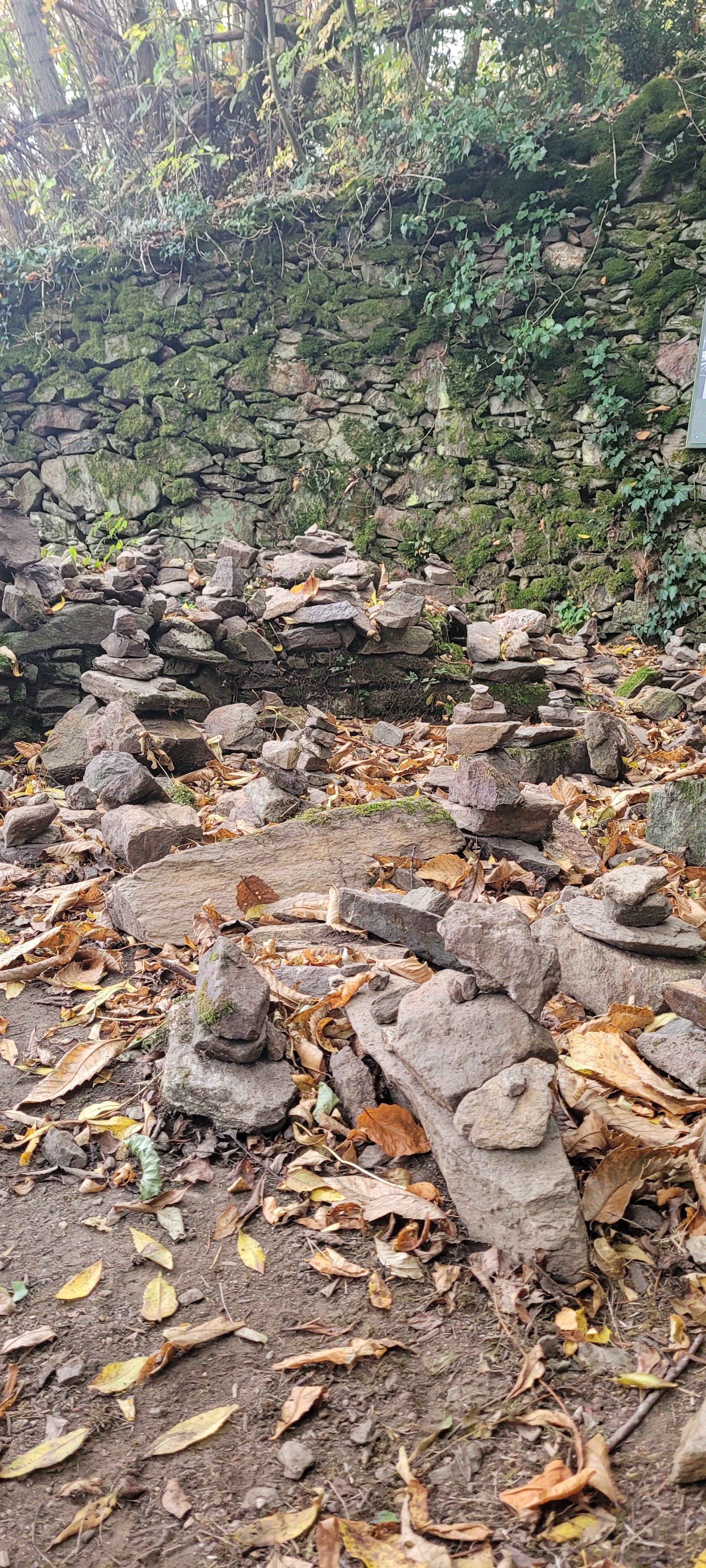 Photo n° 3 de l'avis de David.o fait le 31/10/2021 à 22:03