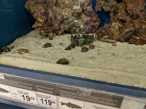 Department Store «Target», reviews and photos, 310 Daniel Webster Hwy, Nashua, NH 03060, USA