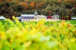 Heron Hill Winery image
