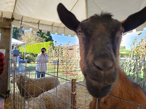 Market «E Z Orchards Farm Market», reviews and photos, 5504 Hazelgreen Rd NE, Salem, OR 97305, USA