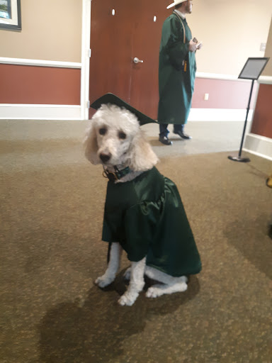 Coffee Shop «I AM Java Coffee House», reviews and photos, 715 N 14th St, Murphysboro, IL 62966, USA