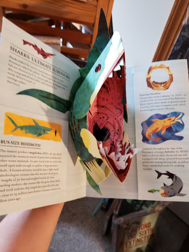 Book Store «Island Bookstore», reviews and photos, 1177 Duck Rd, Duck, NC 27949, USA