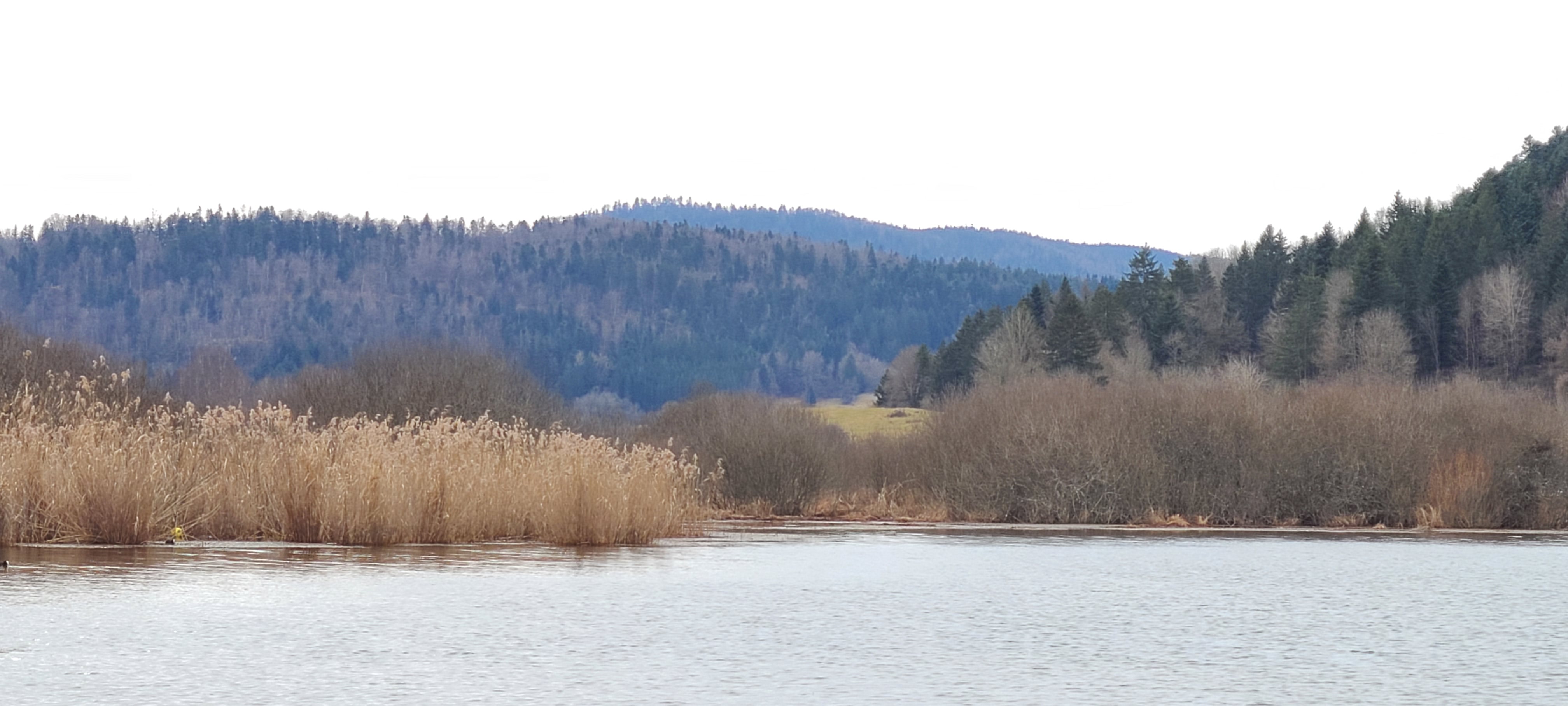 Photo n° 3 de l'avis de Guy-René.e fait le 17/02/2024 à 03:28