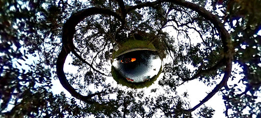 Outdoor Sports Store «Paddling Paradise», reviews and photos, 729 N Harbor City Blvd, Melbourne, FL 32935, USA