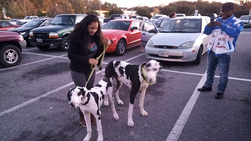Grocery Store «Food Lion», reviews and photos, 4915 Richmond Tappahannock Hwy, Aylett, VA 23009, USA