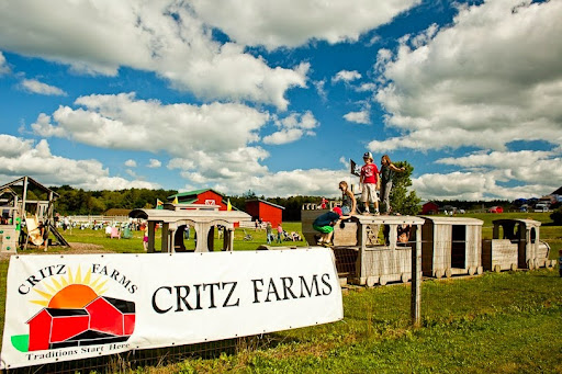 Farm «Critz Farms and Critz Farms Brewing & Cider Co.», reviews and photos, 3232 Rippleton Rd, Cazenovia, NY 13035, USA