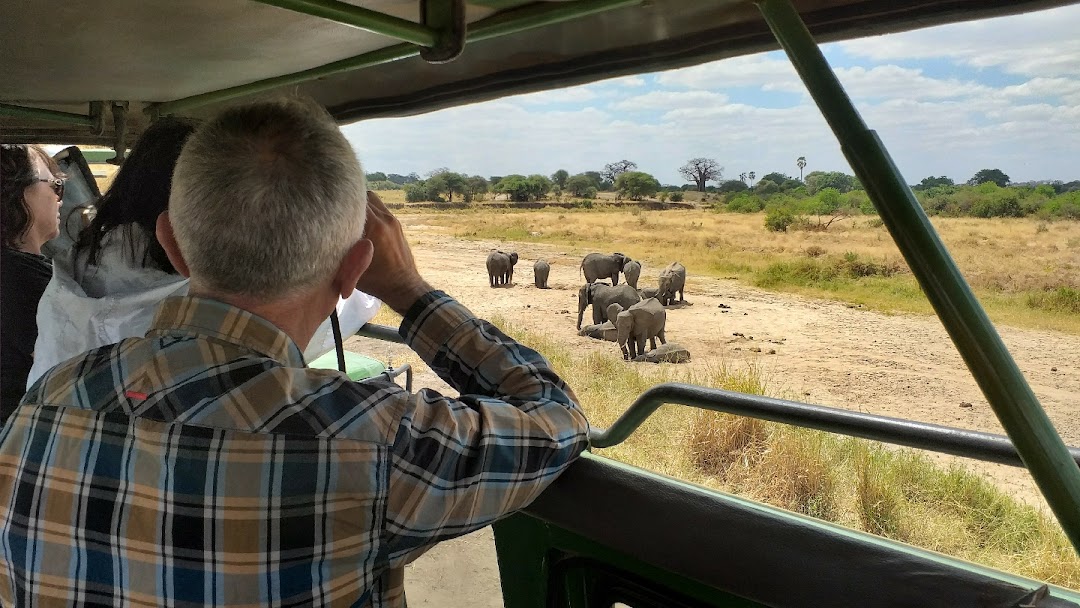 Stemma Safaris Tanzania