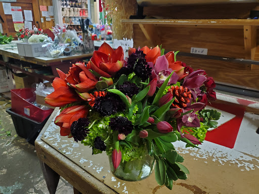 Florist «Blossom Heath Gardens», reviews and photos, 3025 Long Beach Rd, Oceanside, NY 11572, USA