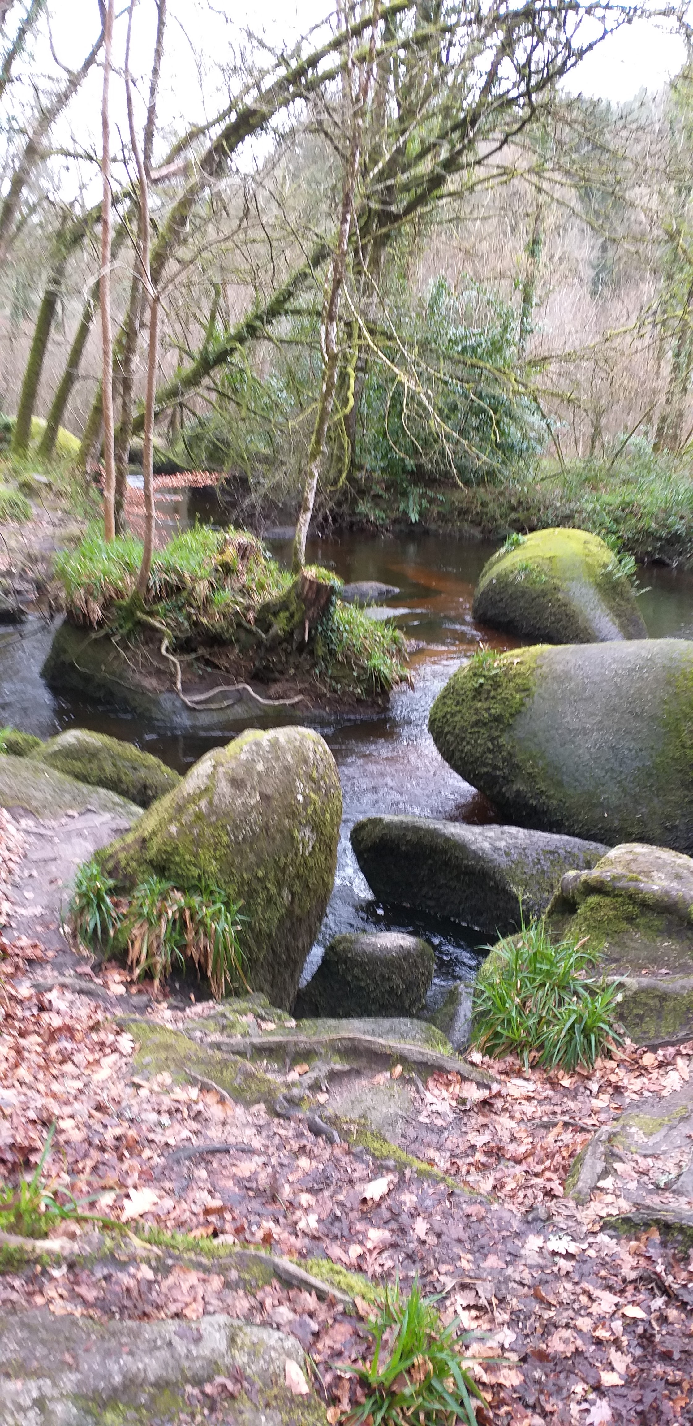 Photo n° 2 de l'avis de Viane.i fait le 07/03/2019 à 07:46