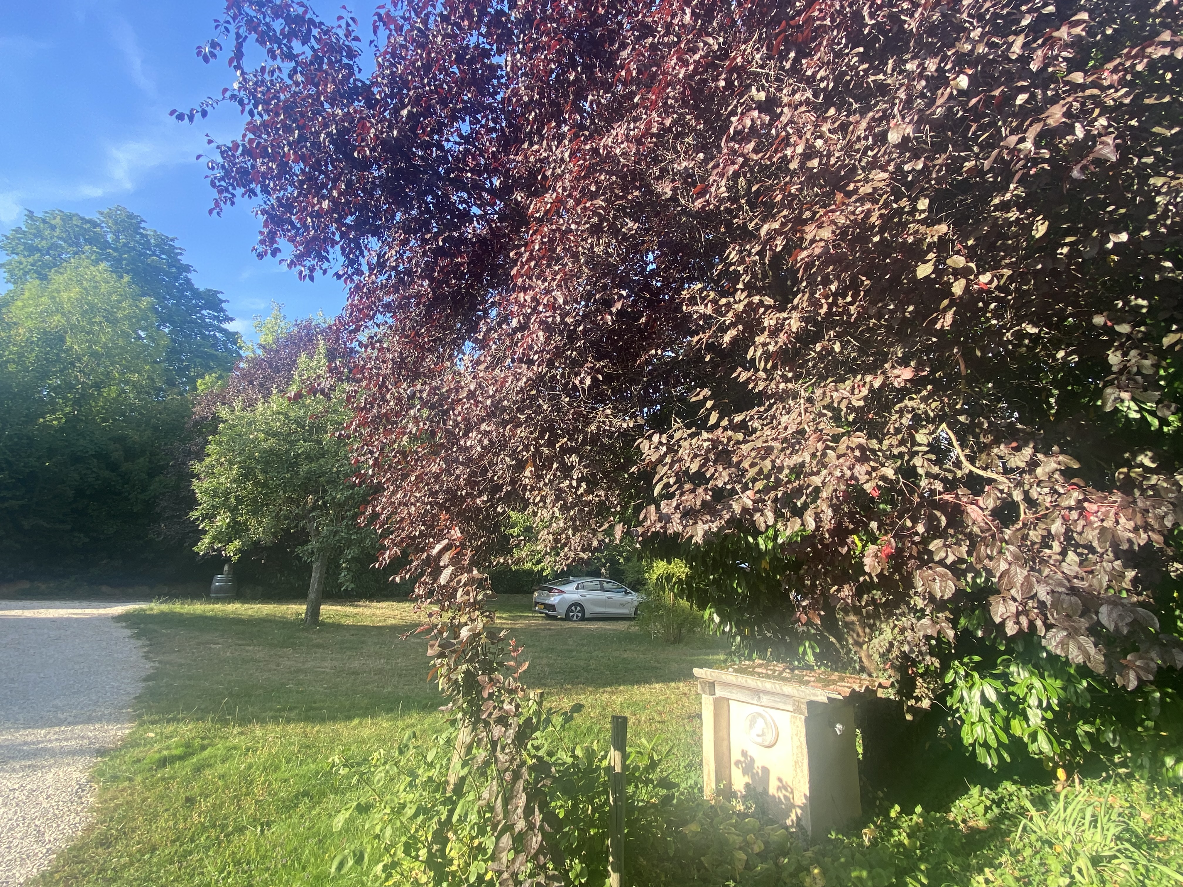 Photo n° 6 de l'avis de catherine.e fait le 17/08/2023 à 14:10