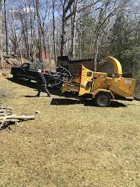 Y.O. Landscaping Painting & Tree Service, LLC - Photo 7 - Car repair in Danbury, CT, Danbury