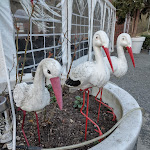 Photo n°2 de l'avis de G. fait le 13/03/2022 à 05:33 sur le  Zum Storchennest Hemmingen à Hemmingen