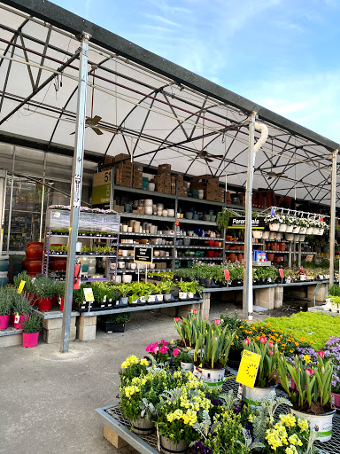 Home Improvement Store «The Home Depot», reviews and photos, 2031 Walnut St, Cary, NC 27518, USA