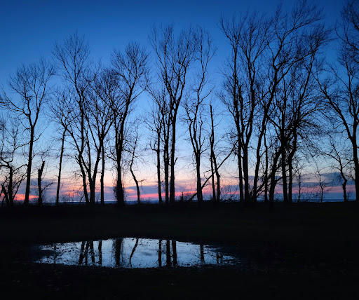 Park «Gratiot Park», reviews and photos, NY-5 & Point Dr W, Dunkirk, NY 14048, USA