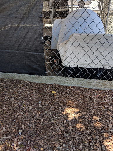 Pet Supply Store «Northern California Pet Supply and Grooming», reviews and photos, 1580 Nursery Way, McKinleyville, CA 95519, USA