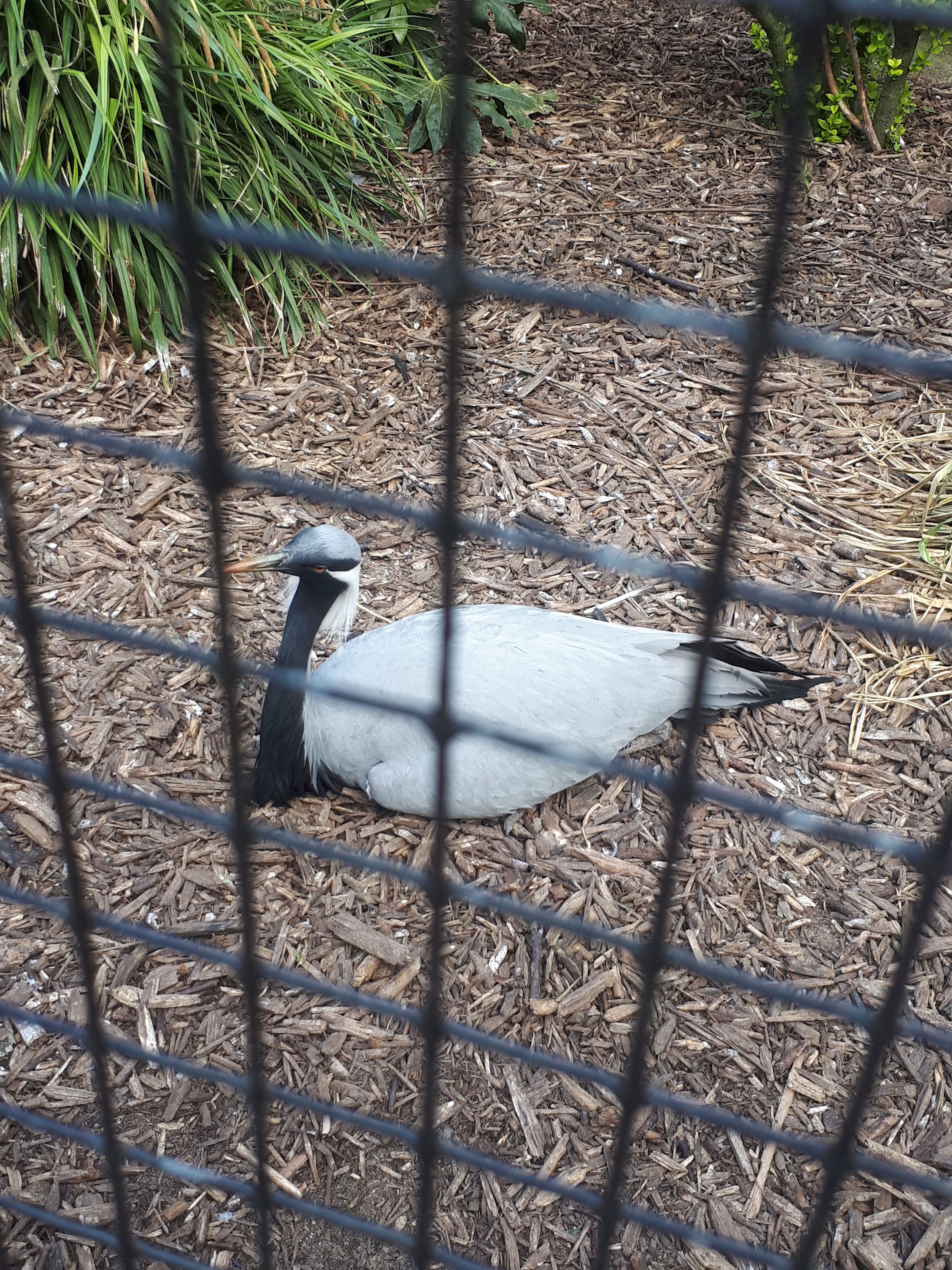 Photo n° 7 de l'avis de Morgane.r fait le 07/05/2018 à 21:00