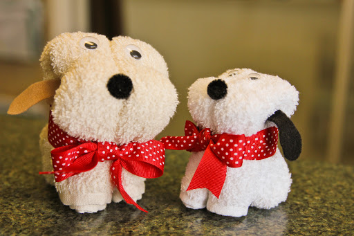 Day Care Center «Palm Beach Paw Spa», reviews and photos, 715 Commerce Way W, Jupiter, FL 33458, USA