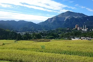 Terasaka Rice Terrace image