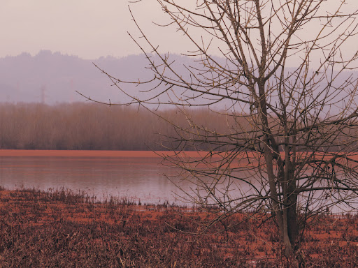 Nature Preserve «Smith and Bybee Wetlands Natural Area», reviews and photos, 5300 N Marine Dr, Portland, OR 97203, USA