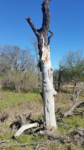 Park «Bamberger Nature Park», reviews and photos, 12401 Babcock Rd, San Antonio, TX 78249, USA