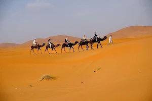 Roaming Camels Morocco image