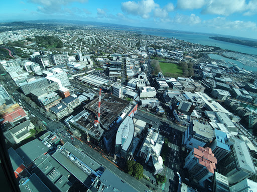 Viewpoints in Auckland