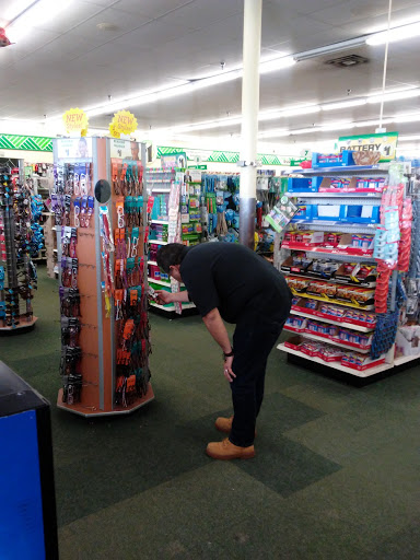 Dollar Store «Dollar Tree», reviews and photos, 1800 Douglas Rd, Montgomery, IL 60538, USA