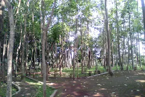Hutan Kota image