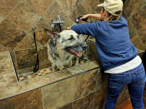 Pet Store «Pet Valu», reviews and photos, 55 Greentree Dr, Dover, DE 19904, USA