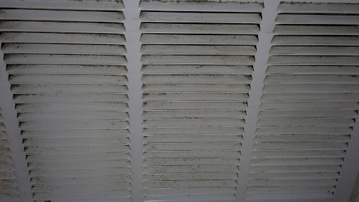 House Cleaning Service «Maggie Maid Inc.», reviews and photos, 408 Bowie, Universal City, TX 78148, USA