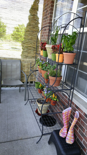 Home Builder «M/I Homes Lakewood Prairie», reviews and photos, 1505 Barberry Way, Joliet, IL 60431, USA